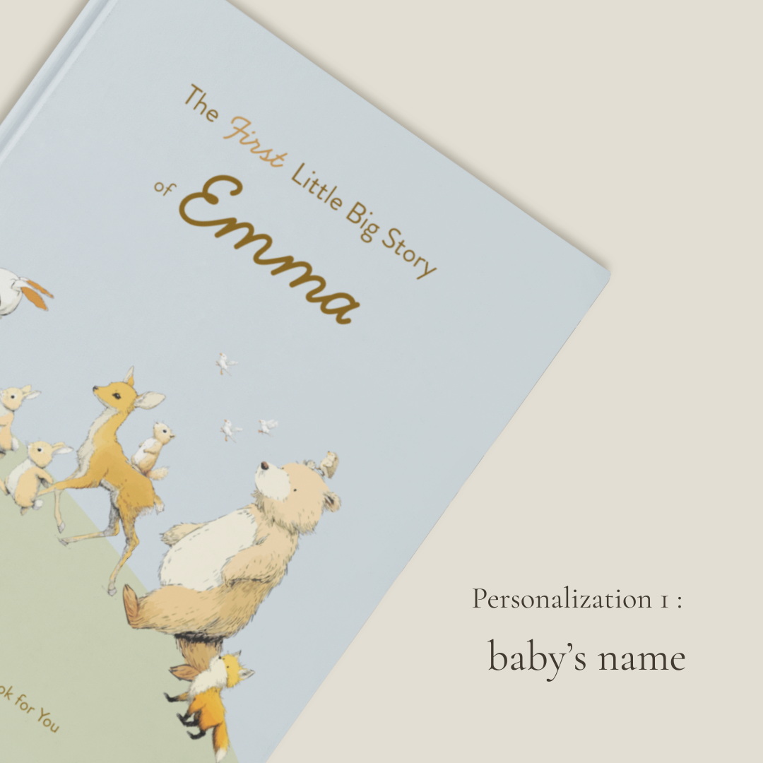 The First Little Big Story